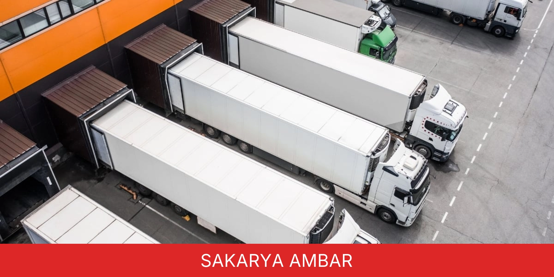 Sakarya Ambar