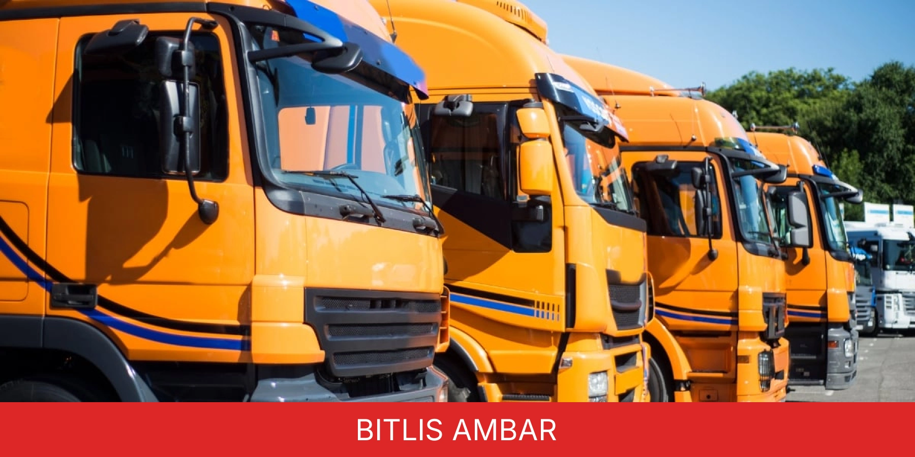 Bitlis Ambar